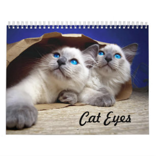 Cat Eyes Kalender