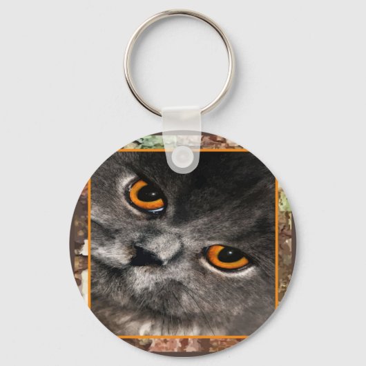 Cat Eyes Keycahin Sleutelhanger (Voorkant)