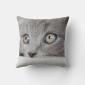 Cat Eyes Kussen (Achterkant)