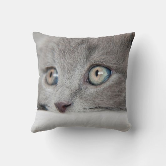 Cat Eyes Kussen (Achterkant)