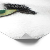 Cat Eyes Poster (Hoek)