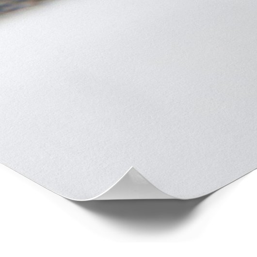 Cat Eyes Poster (Hoek)