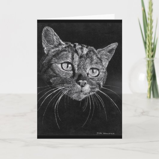 Cat Face blanco kaart. Feestdagen Kaart (Voorkant)