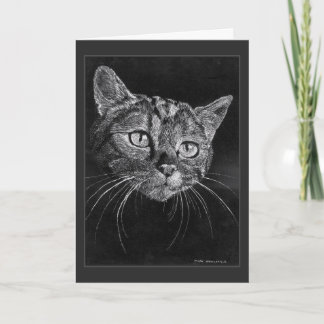Cat Face Drawing By Mark Edward Westerfield Bedankkaart