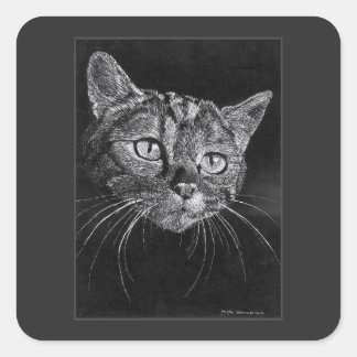 Cat Face Drawing By Mark Edward Westerfield Vierkante Sticker