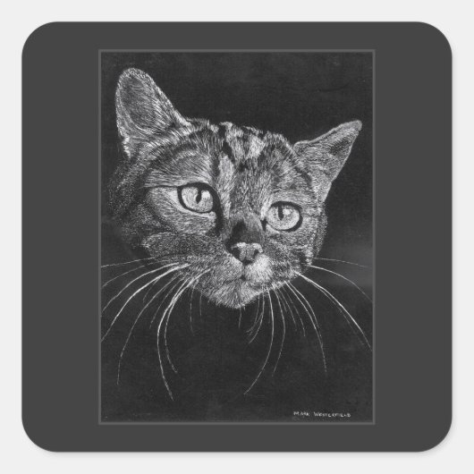 Cat Face Drawing By Mark Edward Westerfield  Vierkante Sticker (Voorkant)