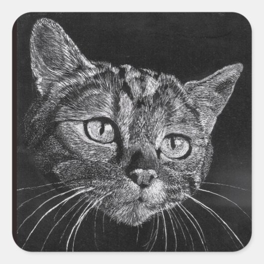 Cat Face mijn middelbare schooltekening Vierkante Sticker (Voorkant)