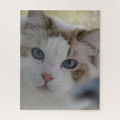 Cat Face Puzzle Legpuzzel (Verticaal)