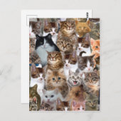 Cat Faces Patroon Briefkaart (Voorkant / Achterkant)
