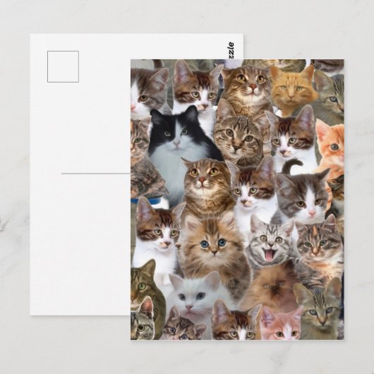 Cat Faces Patroon Briefkaart (Voorkant / Achterkant)