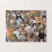 Cat Faces Patroon Legpuzzel (Horizontaal)