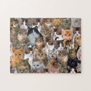 Cat Faces Patroon Legpuzzel