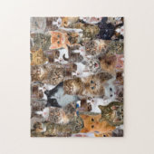 Cat Faces Patroon Legpuzzel (Verticaal)