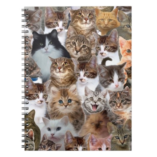 Cat Faces Patroon Notitieboek (Voorkant)