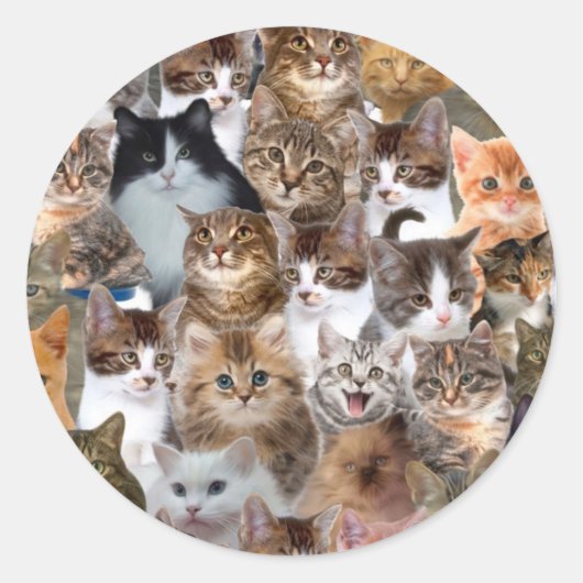 Cat Faces Patroon Ronde Sticker (Voorkant)