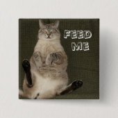 Cat "FEED ME" Square Button (Voorkant)