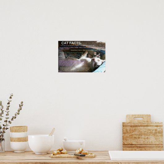 Cat Feit 2 Poster (Keuken)