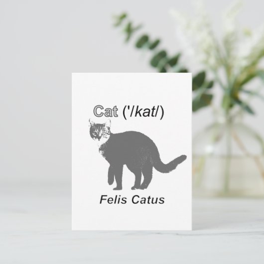 Cat Felis Catus Briefkaart (Staand voorkant)