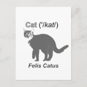 Cat Felis Catus Briefkaart (Voorkant)