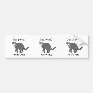 Cat Felis Catus Bumpersticker
