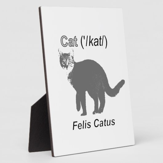 Cat Felis Catus Fotoplaat (Zijkant)