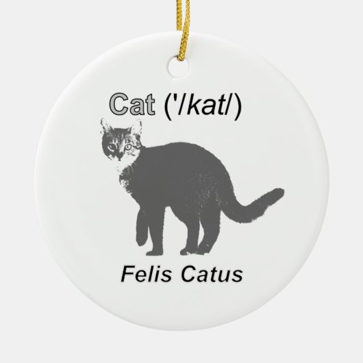 Cat Felis Catus Keramisch Ornament (Voorkant)