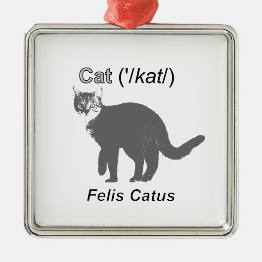 Cat Felis Catus Metalen Ornament (Voorkant)