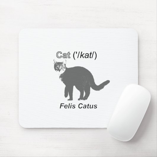 Cat Felis Catus Muismat (Met muis)