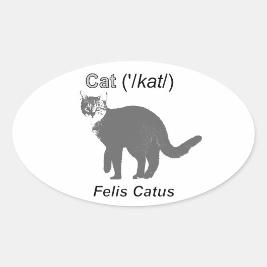 Cat Felis Catus Ovale Sticker (Voorkant)