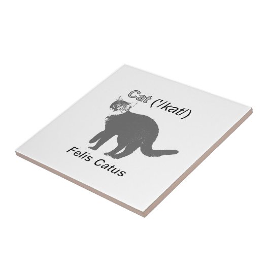 Cat Felis Catus Tegeltje (Zijkant)
