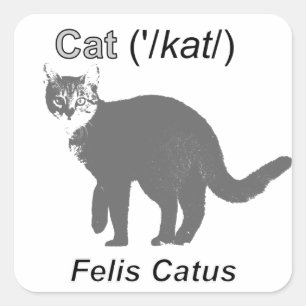 Cat Felis Catus Vierkante Sticker