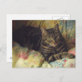 Cat Fine Art Photo Briefkaart (Voorkant / Achterkant)