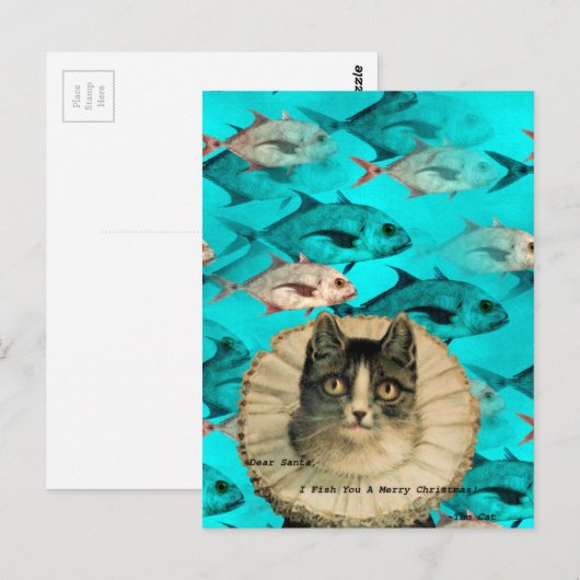 Cat Fish You Digital Collage Briefkaart (Voorkant / Achterkant)