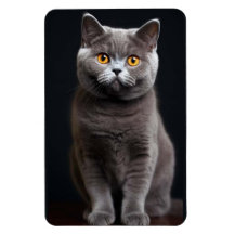 Cat Flexibele fotomagneet