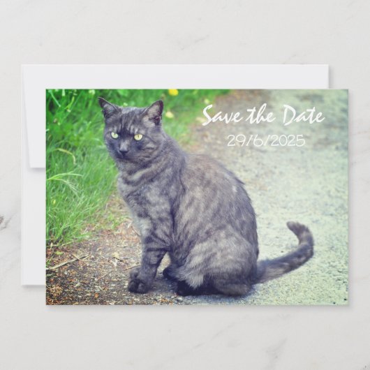 Cat Folded Save The Date Invitation Kaart (Voorkant)