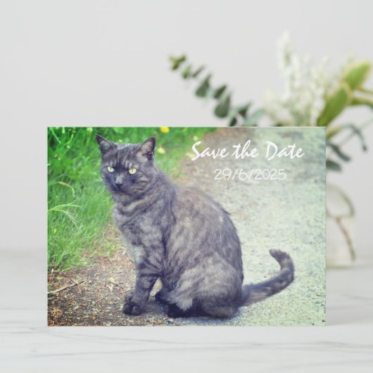 Cat Folded Save The Date Invitation Kaart (Staand voorkant)