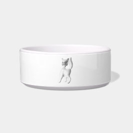 CAT FOOD BOWL KERAMISCHE STIJL ONTWERP VOERBAKJE