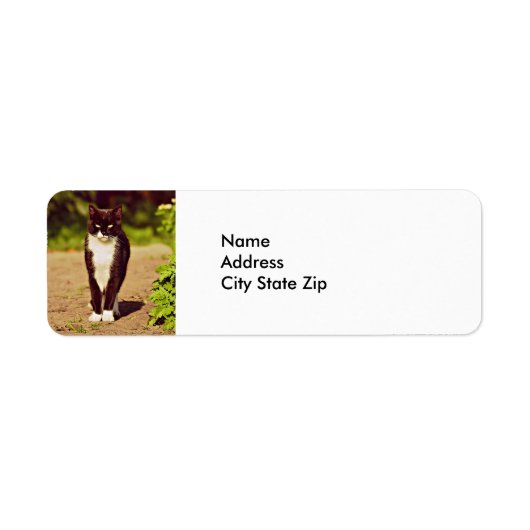 Cat-foto Cat Cute Black en White Tuxedo Cat Etiket (Voorkant)