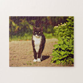 Cat-foto Cat Cute Black en White Tuxedo Cat Legpuzzel