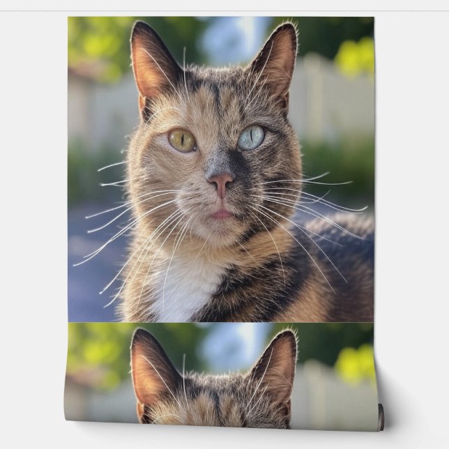 Cat foto toevoegen Aanpassen Behang (Afrollen)