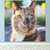 Cat foto toevoegen Aanpassen Canvas Afdruk (Insitu (Houten vloer))