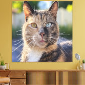 Cat foto toevoegen Aanpassen Canvas Afdruk (Insitu (Woonkamer))