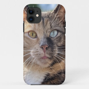 Cat foto toevoegen Aanpassen Case-Mate iPhone Case