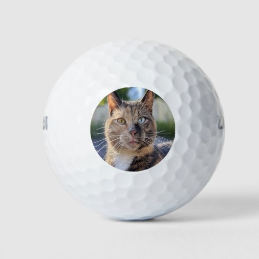 Cat foto toevoegen Aanpassen Golfballen (Voorkant)