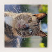 Cat foto toevoegen Aanpassen Legpuzzel (Horizontaal)