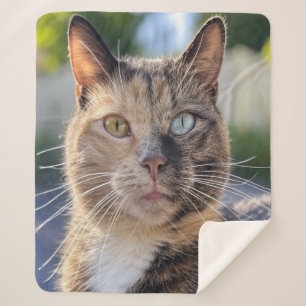 Cat foto toevoegen Aanpassen Sherpa Deken