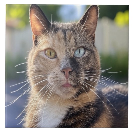 Cat foto toevoegen Aanpassen Tegeltje (Voorkant)