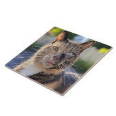 Cat foto toevoegen Aanpassen Tegeltje (Zijkant)