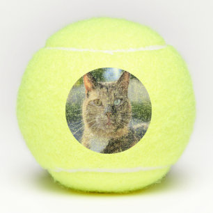 Cat foto toevoegen Aanpassen Tennisballen