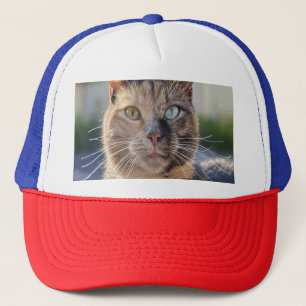 Cat foto toevoegen Aanpassen Trucker Pet